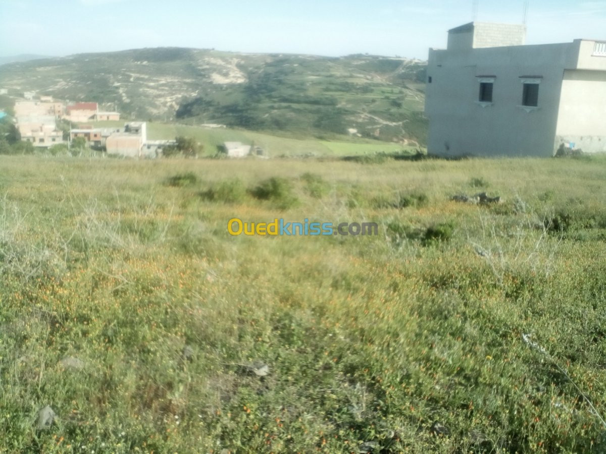 Vente Terrain Ain temouchent Oulhaca el gheraba