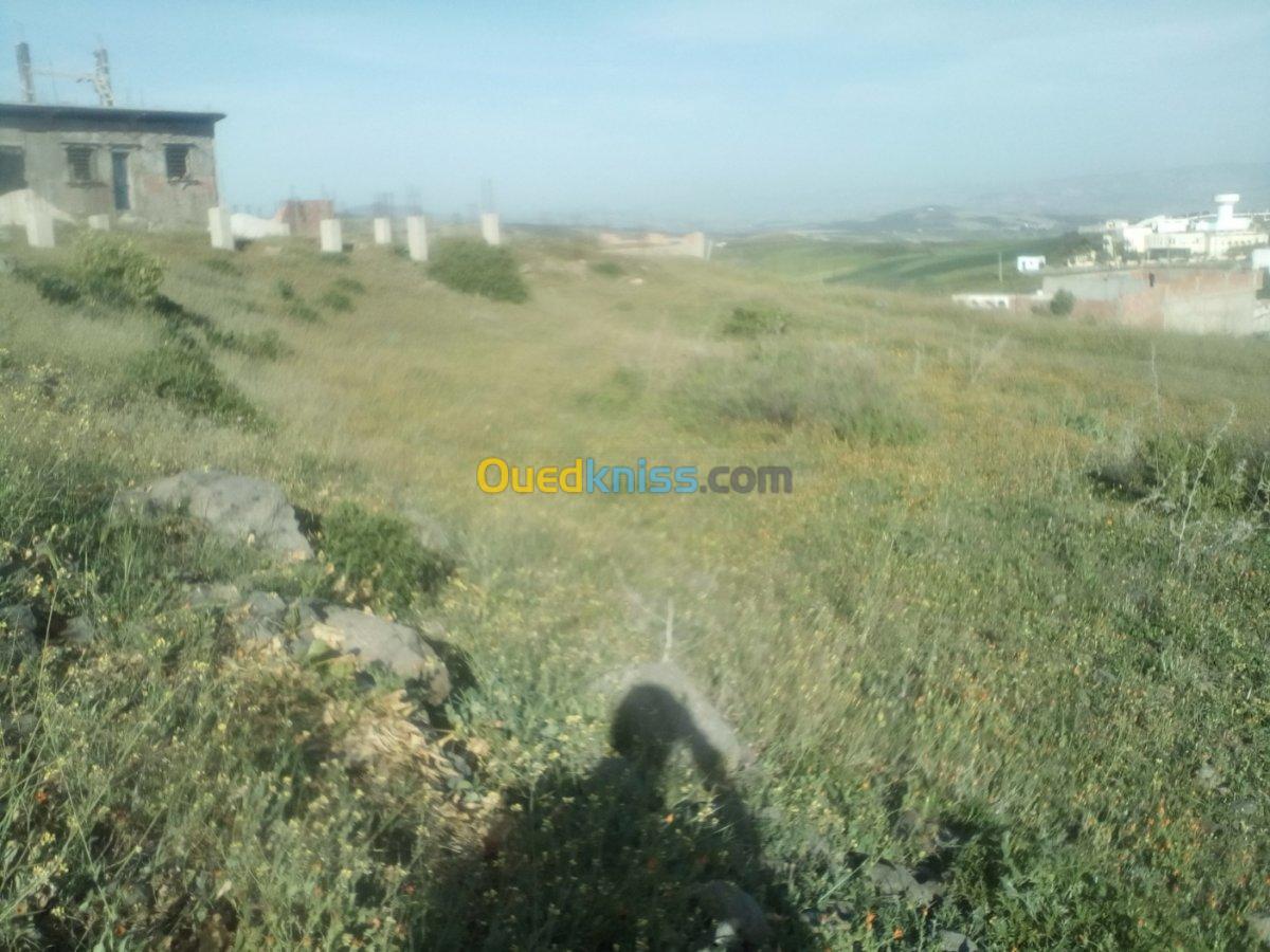 Vente Terrain Ain temouchent Oulhaca el gheraba