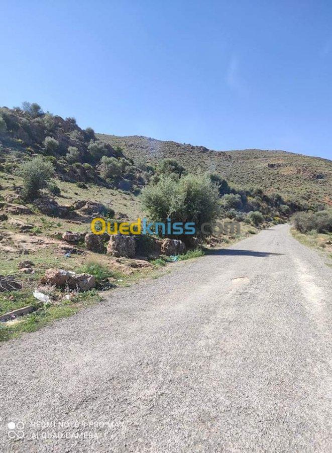 Sell Land Tlemcen Beni mester