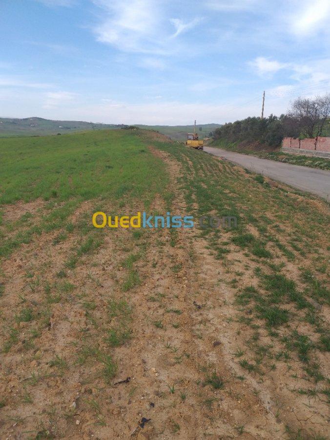 Vente Terrain Bouira Ain el hadjar