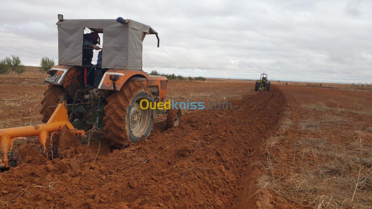 Vente Terrain Agricole Djelfa Ain oussara