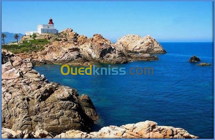 Vente Terrain Jijel Jijel