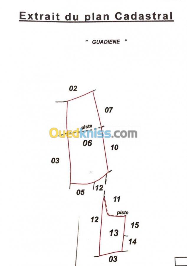 Vente Terrain Agricole Batna Ain yagout