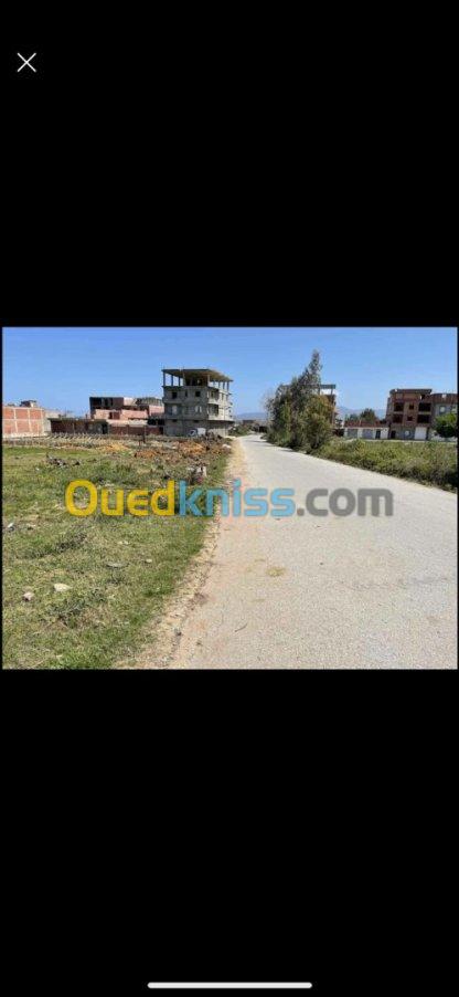 Vente Terrain Jijel Emir abdelkader