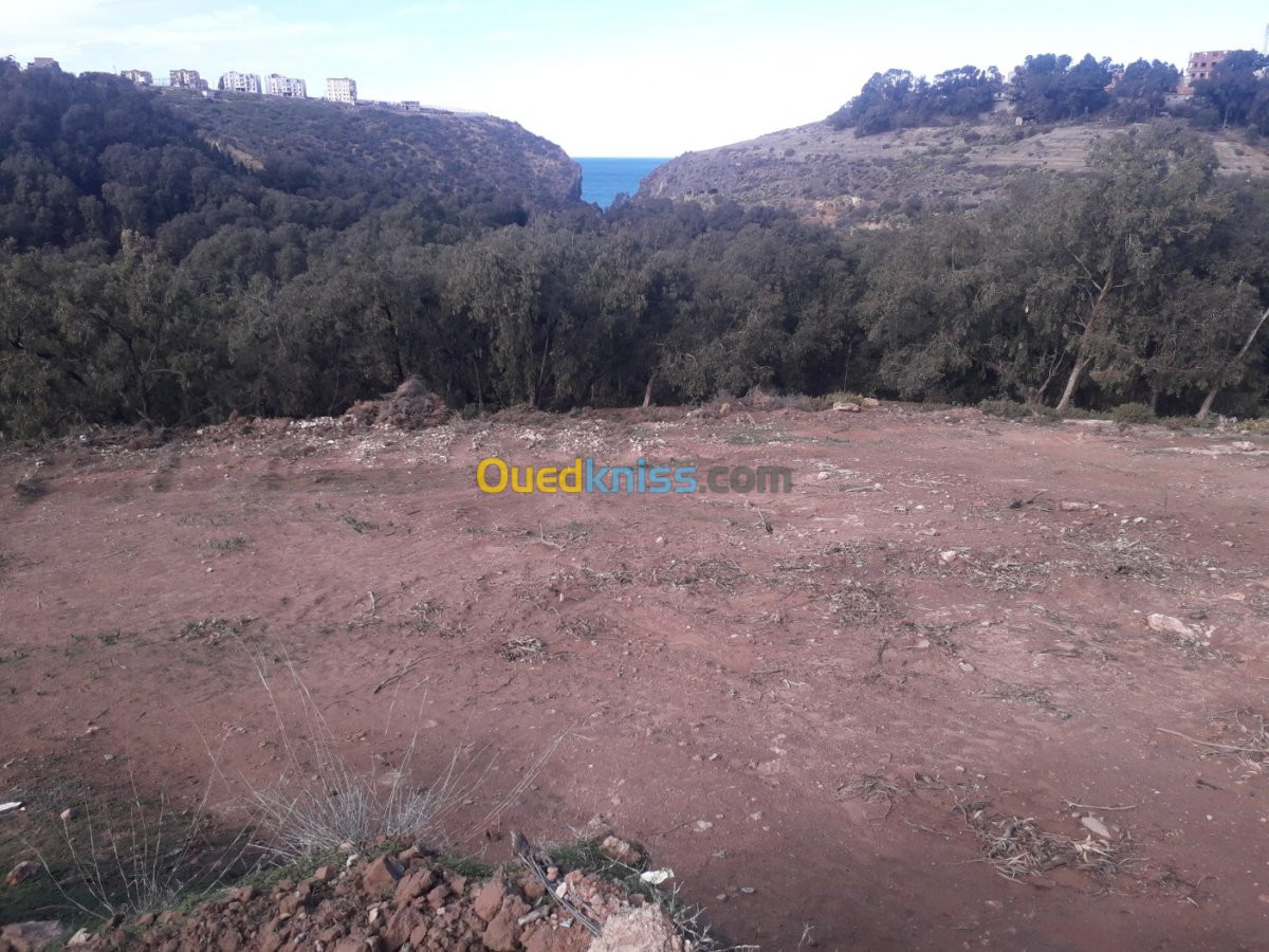 Vente Terrain Tlemcen Ghazaouet