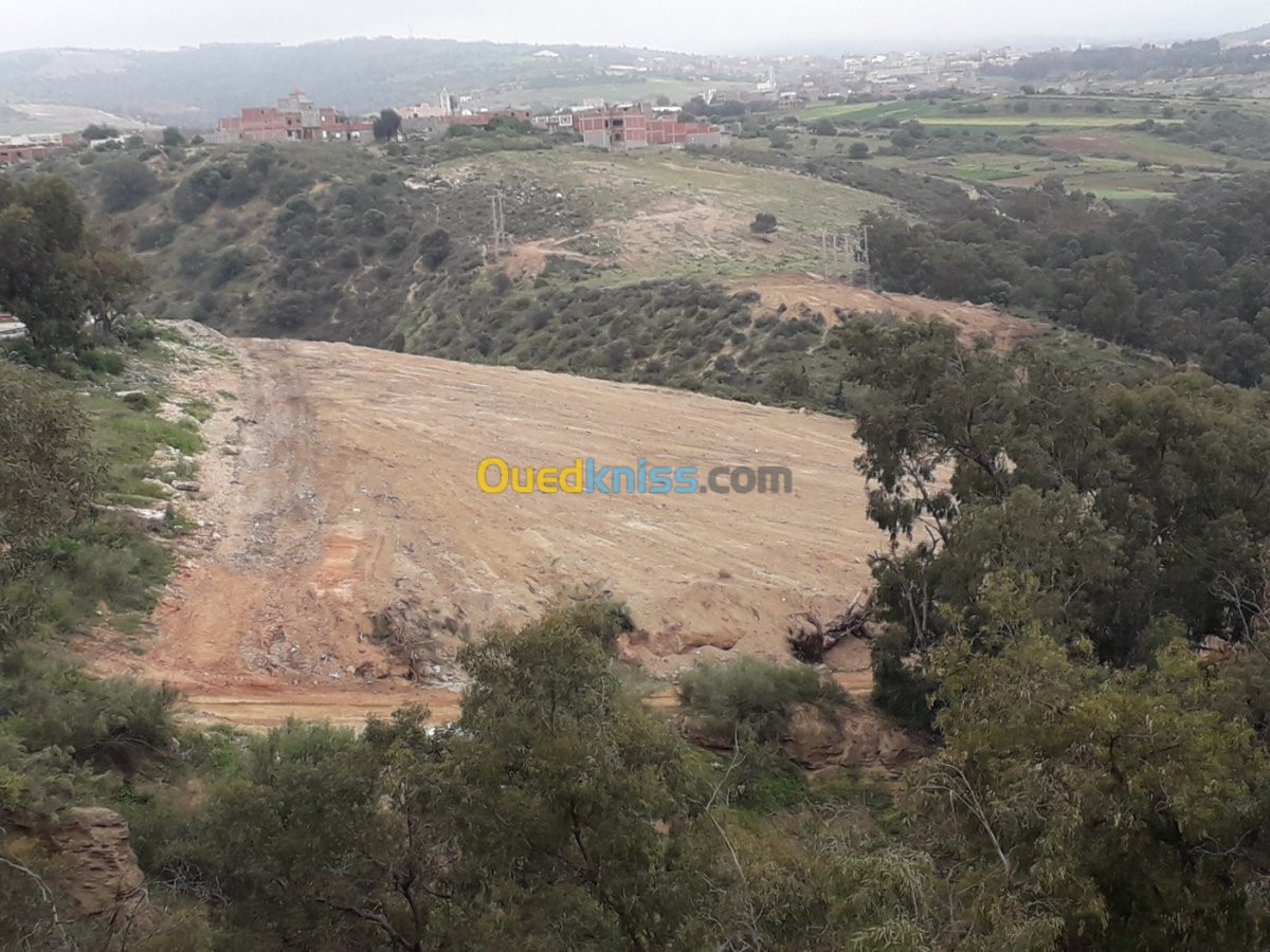 Vente Terrain Tlemcen Ghazaouet