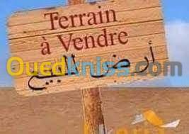 Vente Terrain Ain temouchent Beni saf