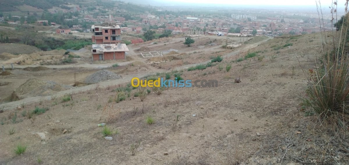 Vente Terrain Blida Ouled selama - Blida Algérie