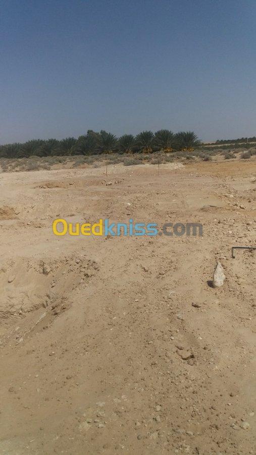 Vente Terrain Agricole Biskra Foughala