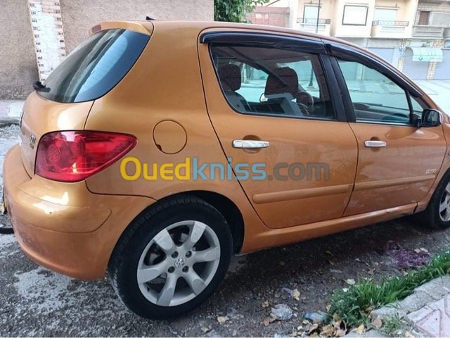 Peugeot 307 2006 Oxygo