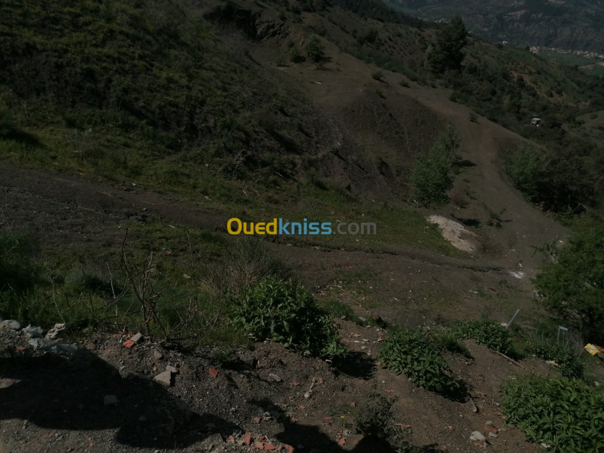 Vente Terrain Setif Beni ouartilene