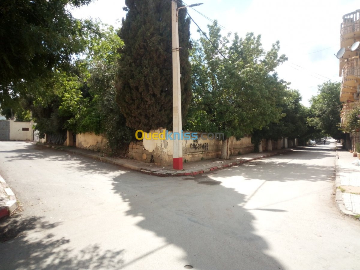 Vente Villa Guelma Guelma