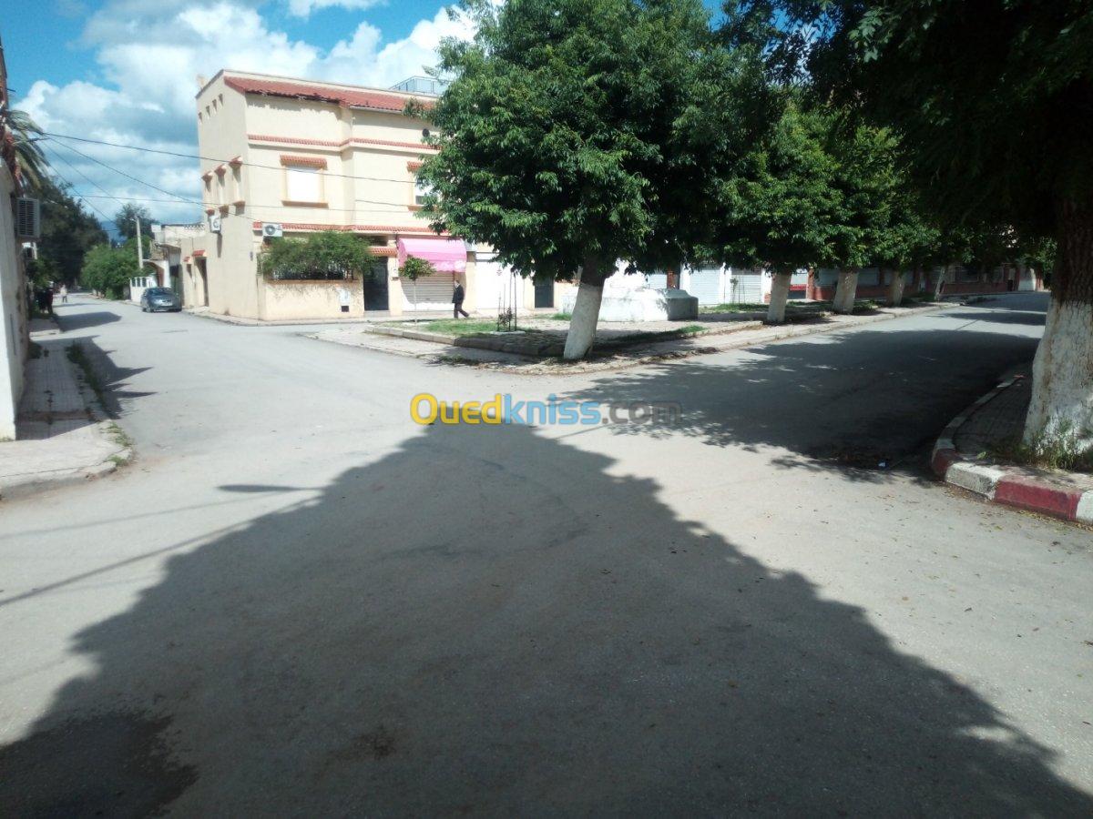 Vente Villa Guelma Guelma