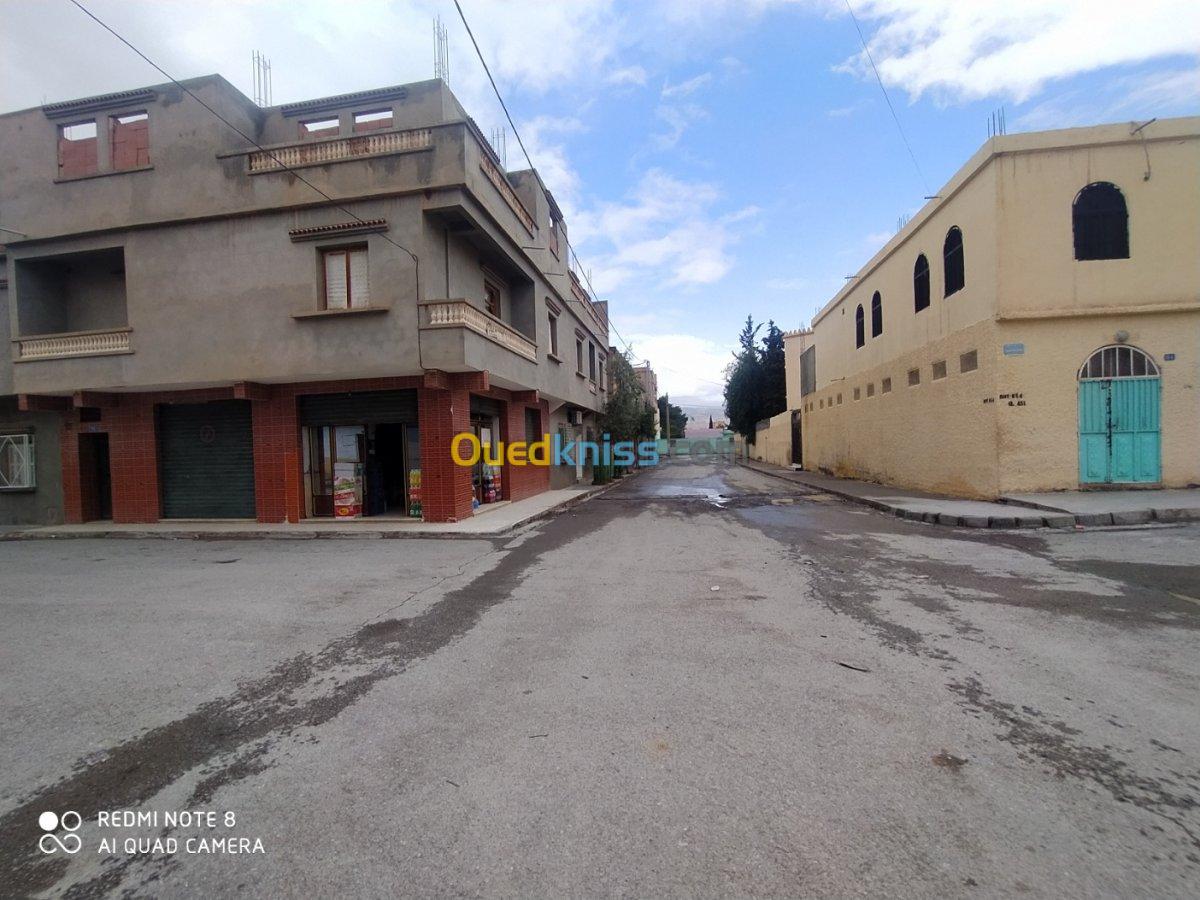 Vente bien immobilier Batna Ain touta