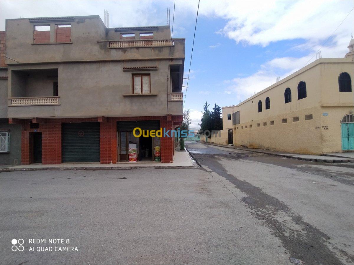 Vente bien immobilier Batna Ain touta