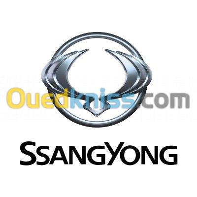 Piéces ssangyong Toutes lespièces de l