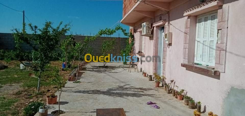 Location Appartement F2 El taref El kala