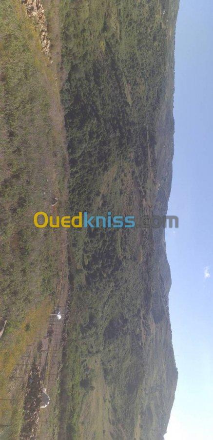 Vente Terrain Tizi ouzou Tigzirt