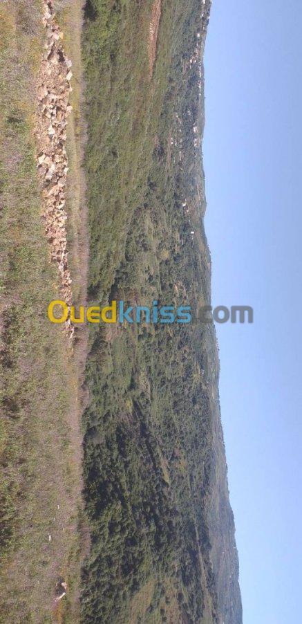 Vente Terrain Tizi ouzou Tigzirt