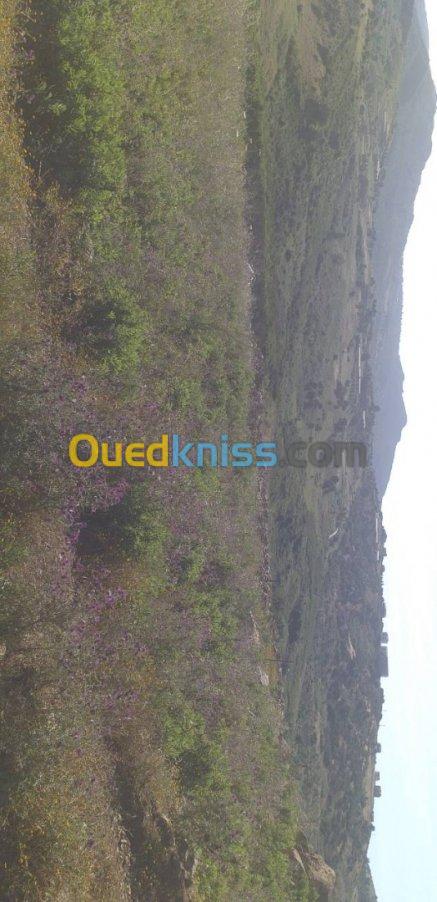 Vente Terrain Tizi ouzou Tigzirt