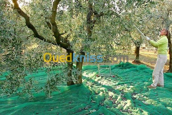 Filet récolte des olives 30m × 3m 