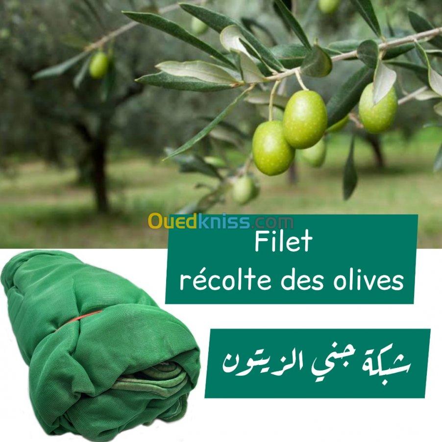 Filet récolte des olives 30m × 3m 