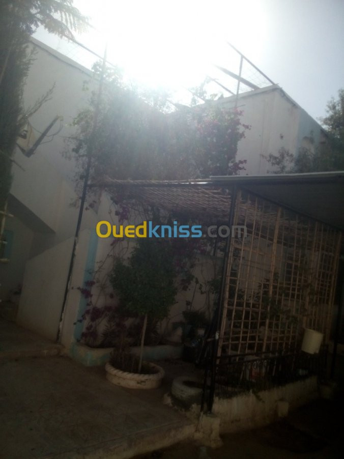 Vente Appartement F3 Laghouat Laghouat