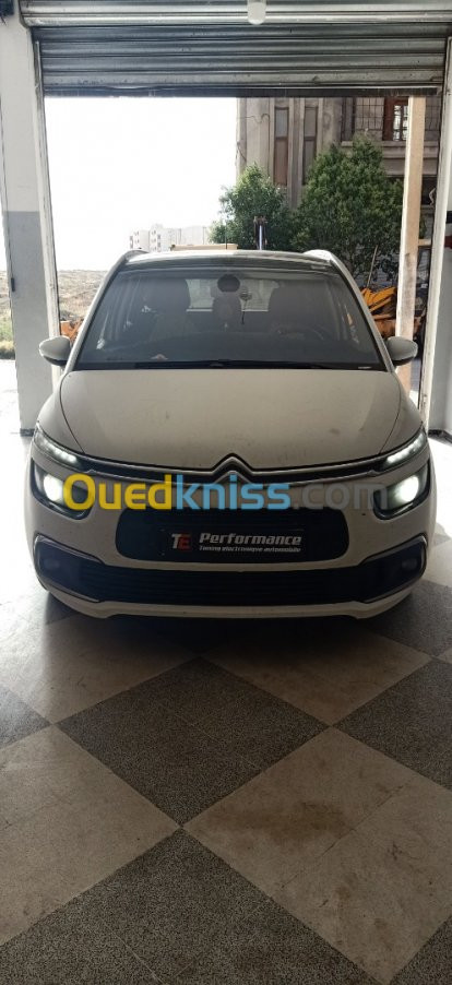 citroen c4 picasso 2019 AdBlue-FAP-EGR