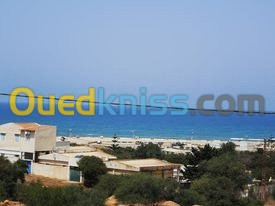 Vente Terrain Mostaganem Achaacha