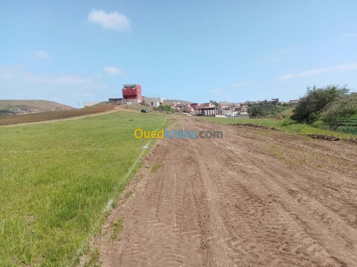 Vente Terrain Ain temouchent Oulhaca el gheraba