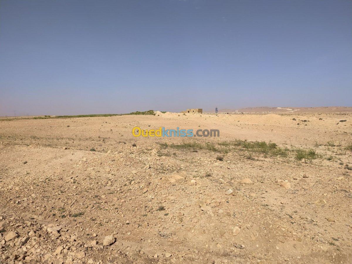 Vente Terrain Agricole Djelfa Ain el ibel