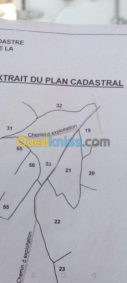 Vente Terrain Setif Guidjel