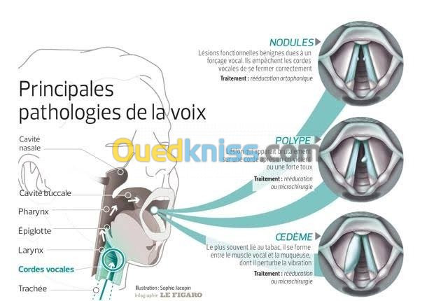 Orthophoniste a domicile