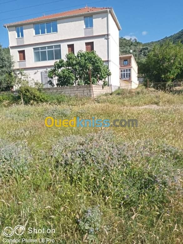 Vente Terrain Bejaia Tala hamzadaira