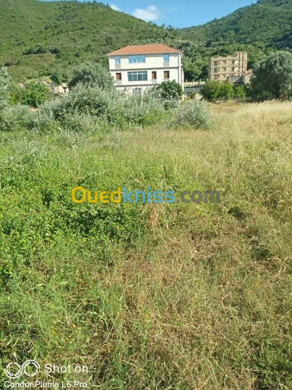 Vente Terrain Bejaia Tala hamzadaira