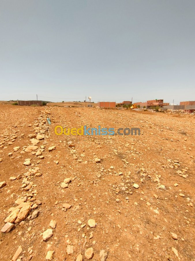 Vente Terrain Tlemcen Fellaoucene