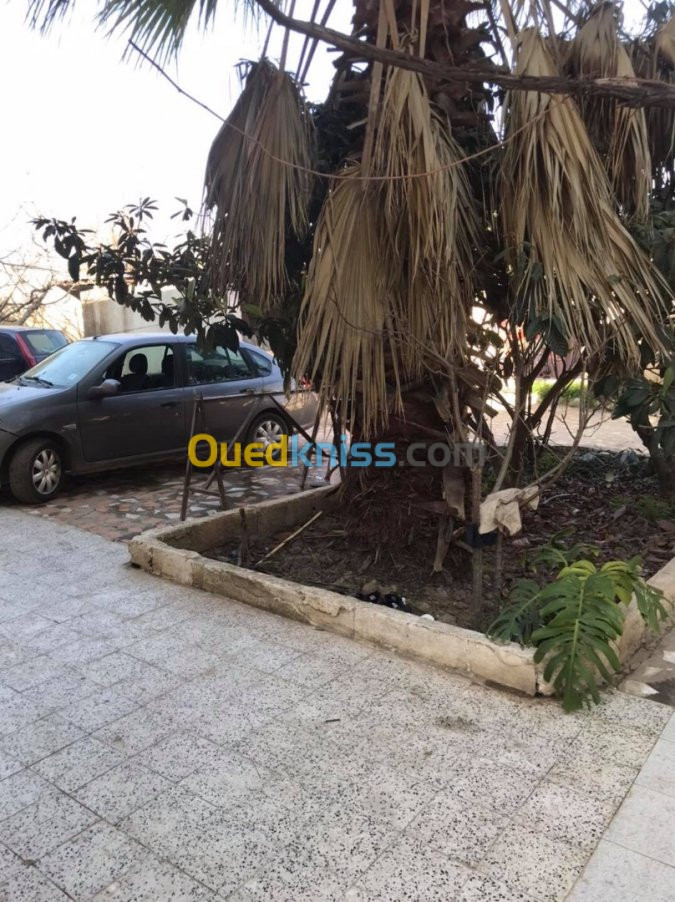 Vente Villa Alger Ouled chebel