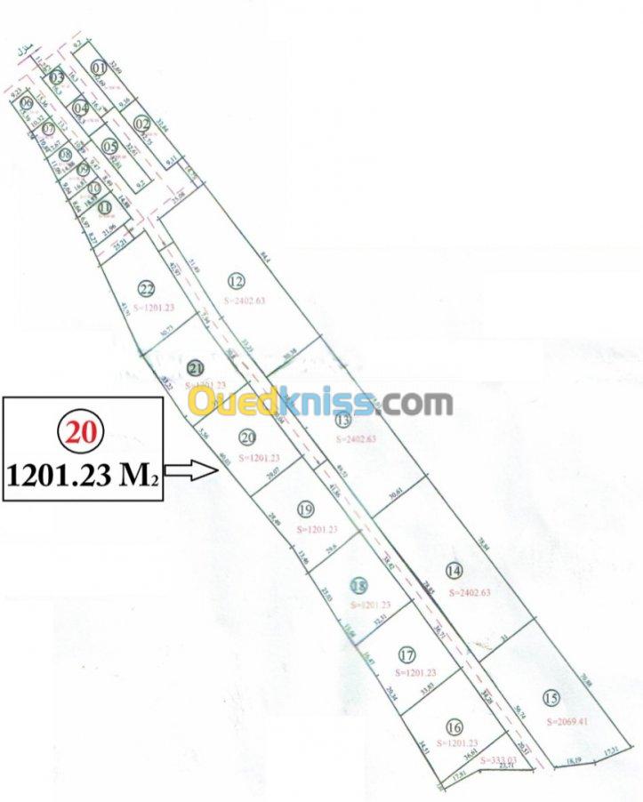 Vente Terrain Tlemcen Remchi