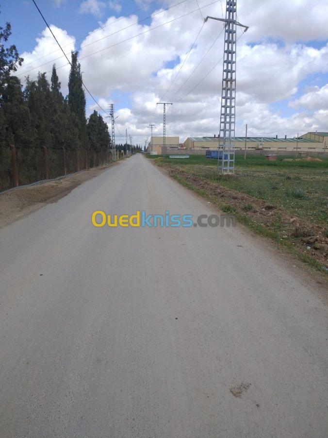 Vente Terrain Setif Mezloug