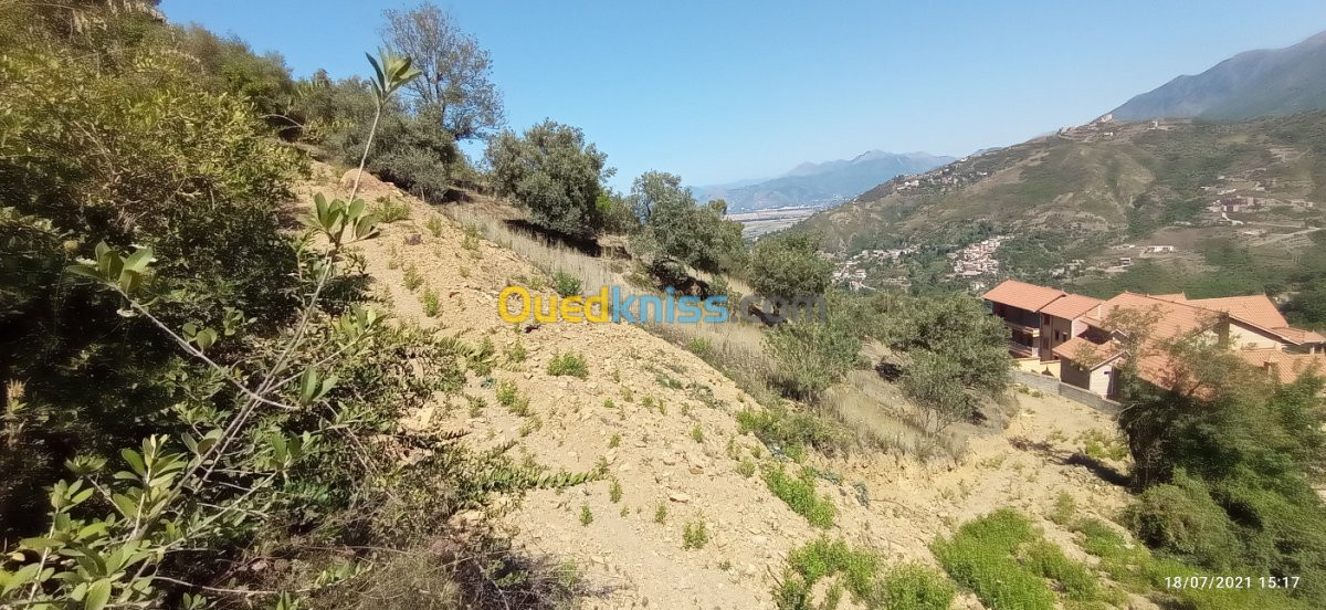 Vente Terrain Bejaia Aokas