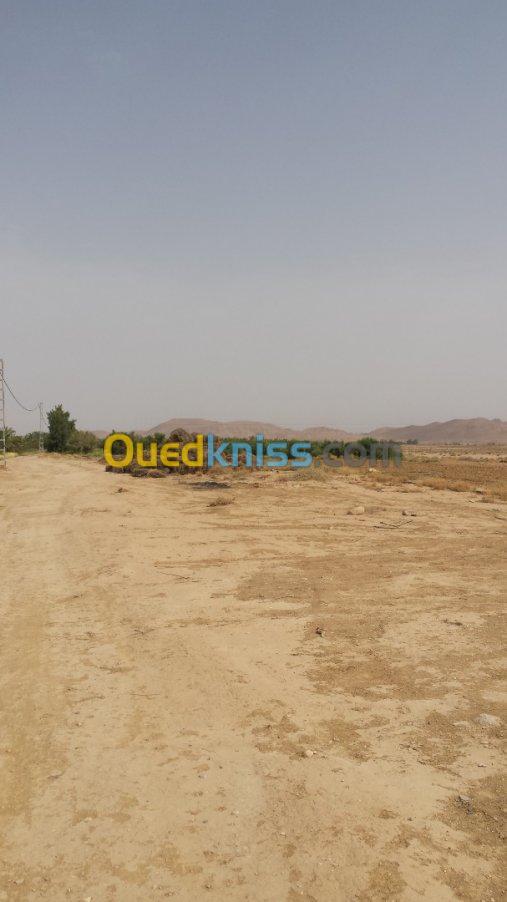 Vente Terrain Agricole Biskra Sidi okba