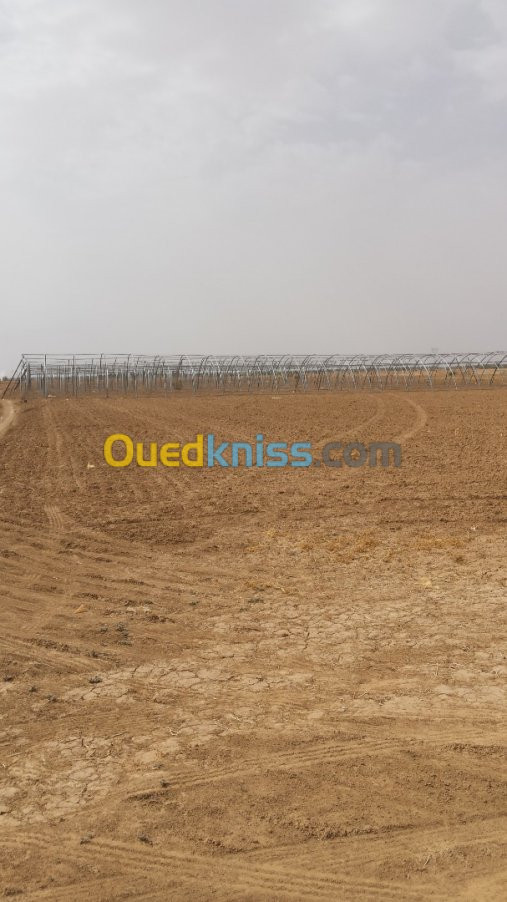 Vente Terrain Agricole Biskra Sidi okba