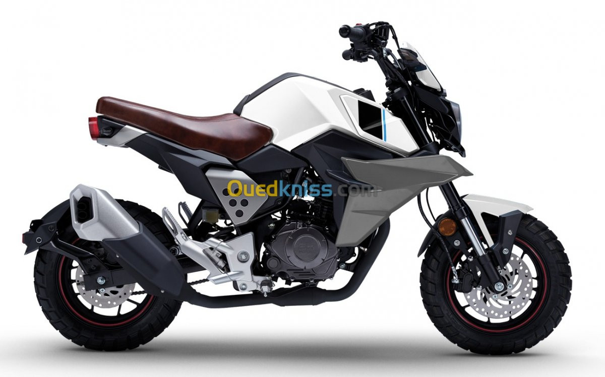 Tiema motors Scrambler 