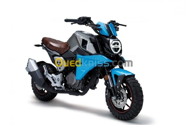 Tiema motors Scrambler 