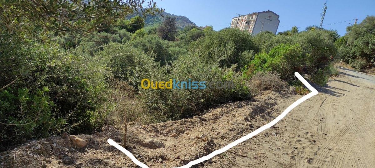 Vente Terrain Bejaia Bejaia