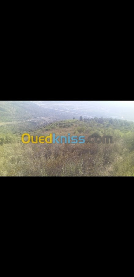 Vente Terrain Bejaia Sidi aich