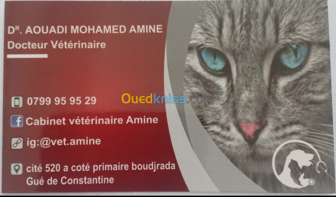 Service pour animaux