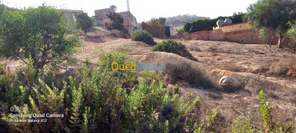 Vente Terrain Mostaganem Achaacha