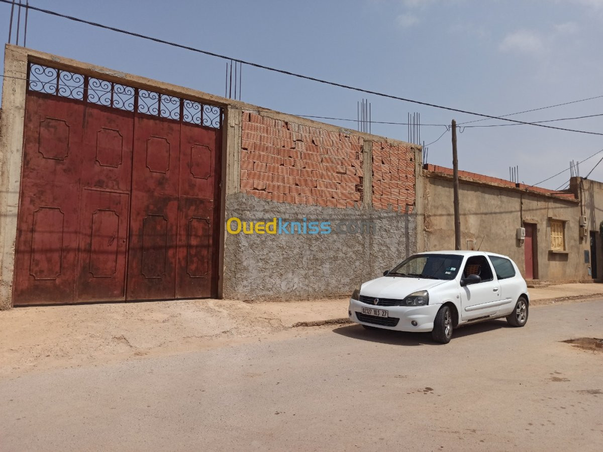 Vente Terrain Mostaganem Mezghrane