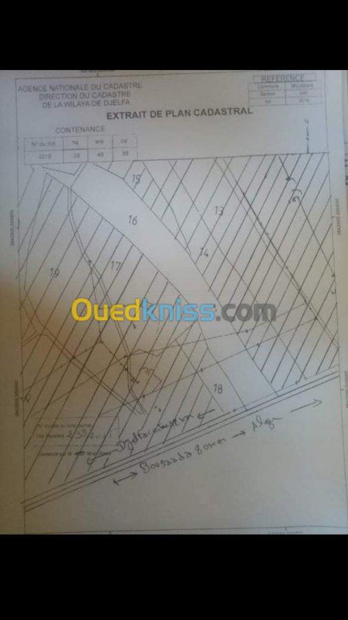 Vente Terrain Djelfa Djelfa